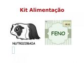 Kit Alimentação